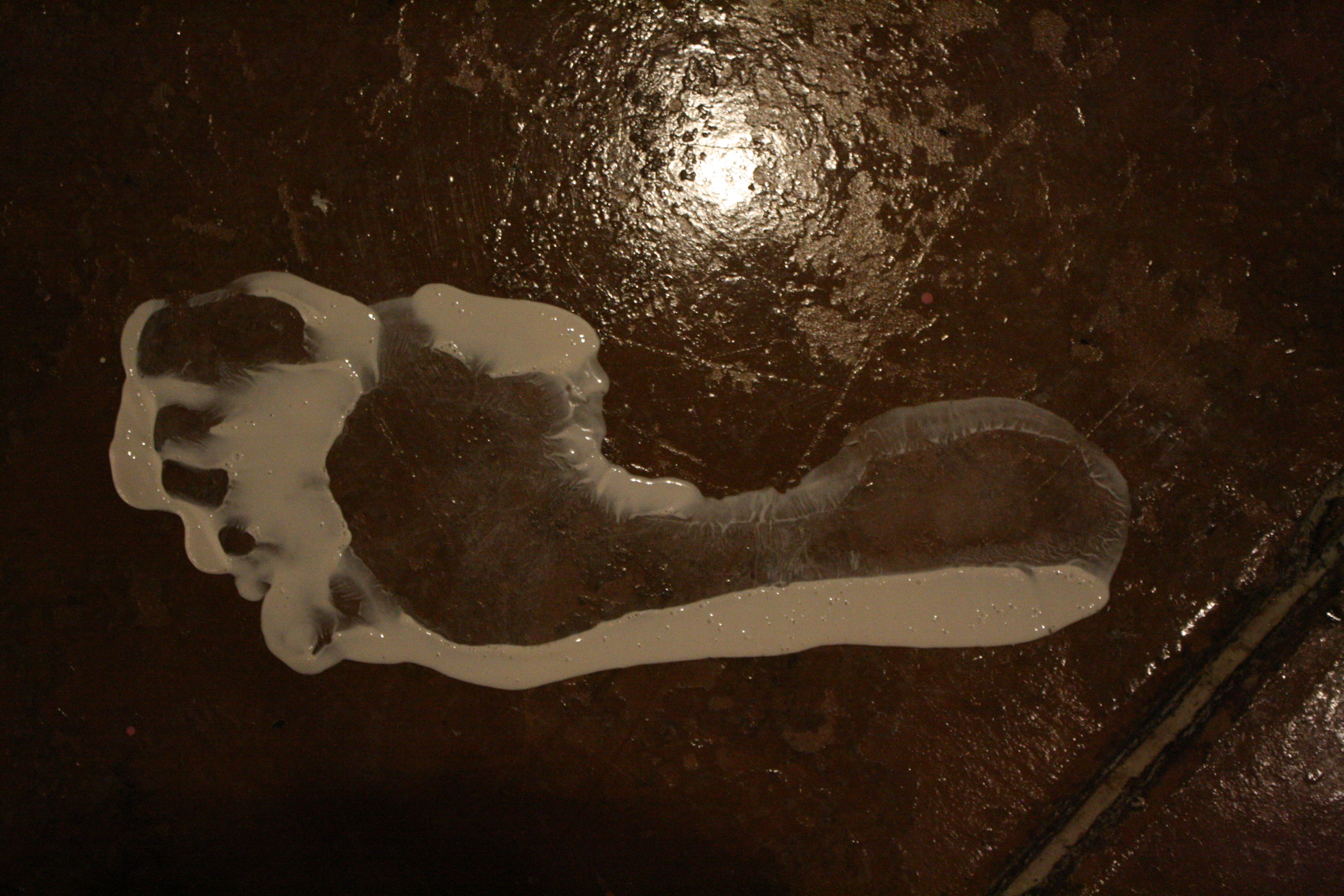 unholy trinity - purification